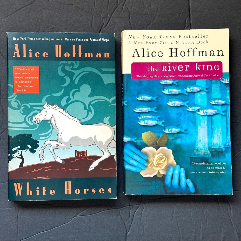 2 BOOK BUNDLE by Alice Hoffman | Fiction | Paperback Book (s)